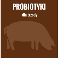 TRZODA - ŚWINIE - PROSIĘTA
